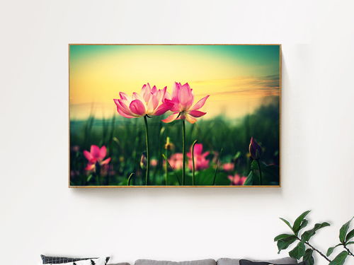 荷花時尚唯美裝飾畫 抽象無框畫與燈具的完美融合